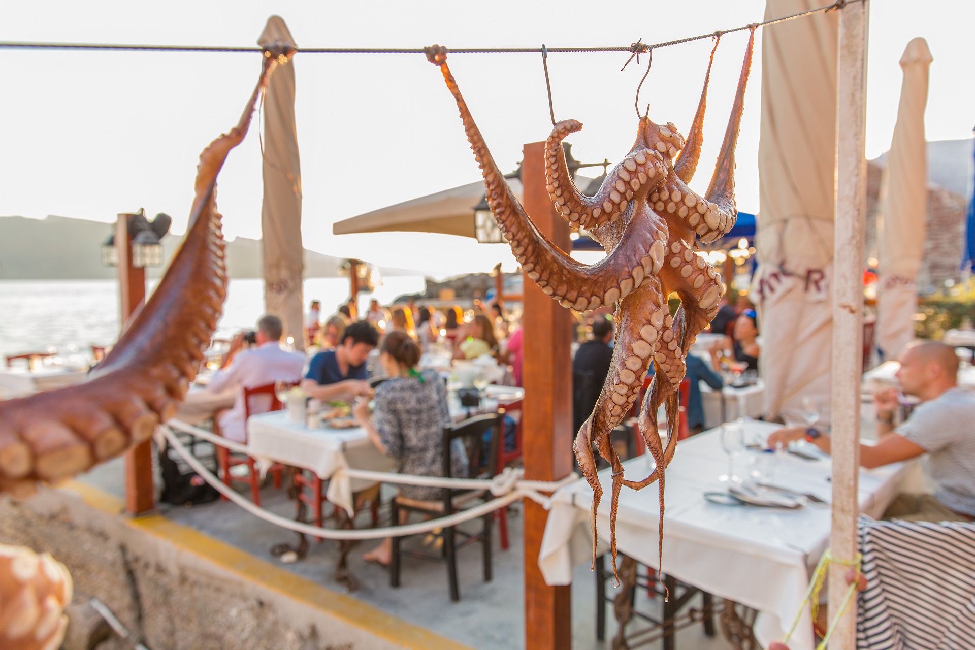 Restaurant de fruits de mer à Santorin